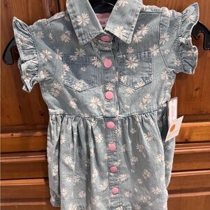 Little Lass Blue Floral Dress with Pink Buttons